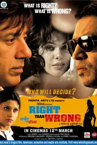  Кто прав, кто виноват (индийский фильм) (2010)